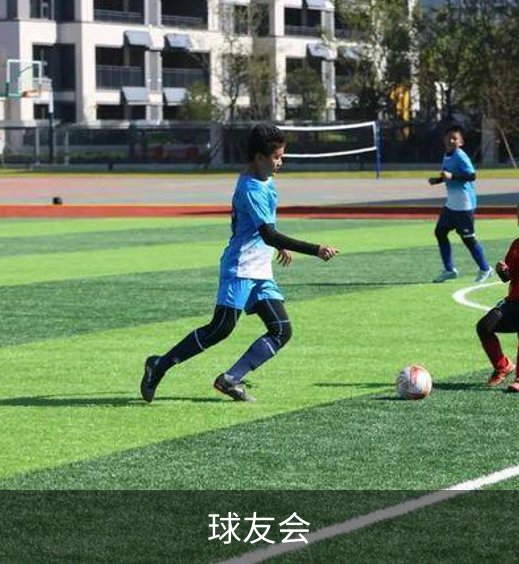 球友会概况